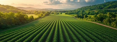 Lighting up renewable energy in New Zealand