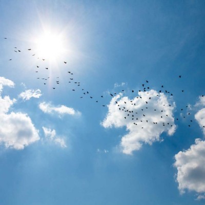 Cloud Advisory and Migration