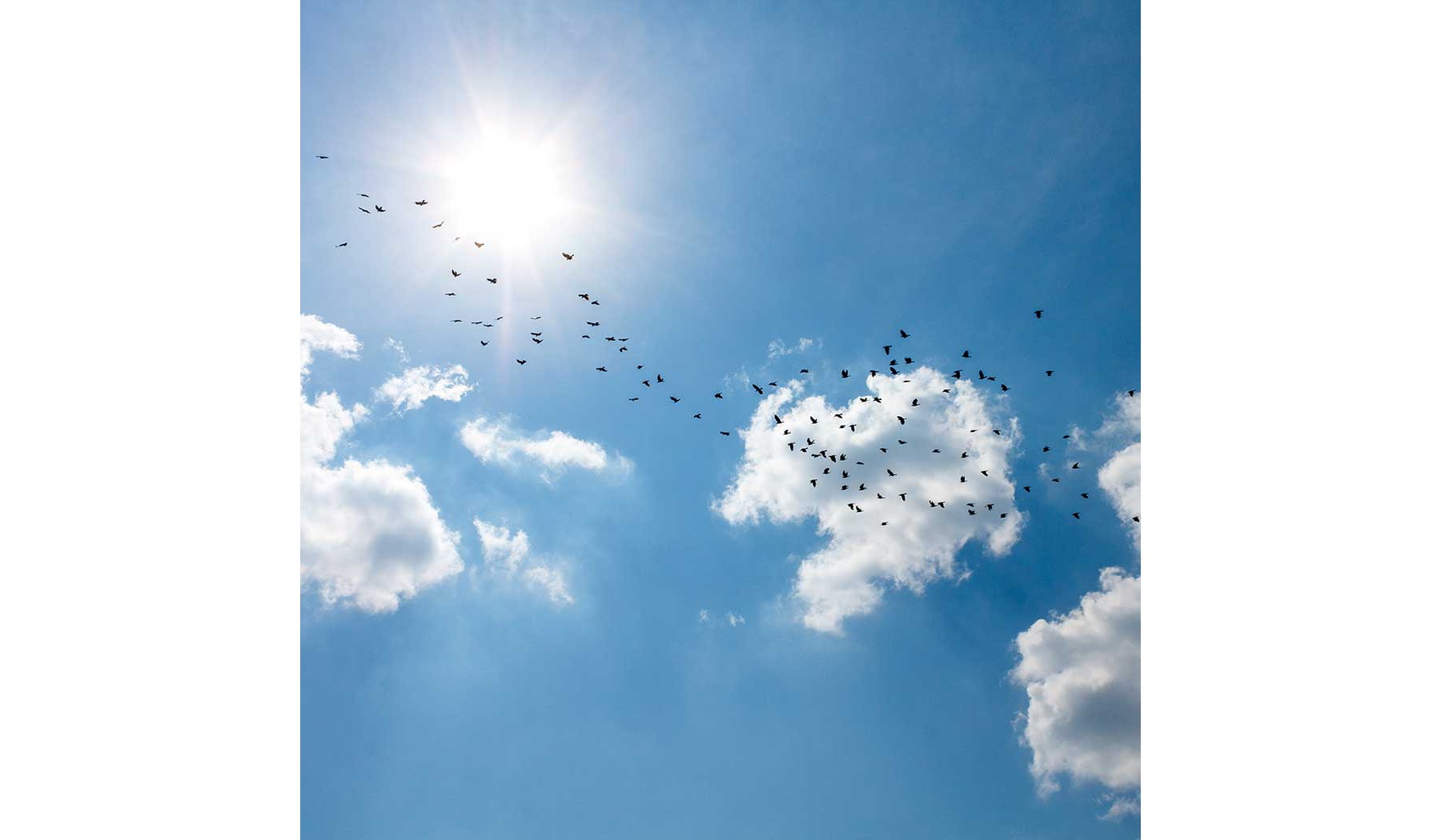 Cloud Advisory and Migration
