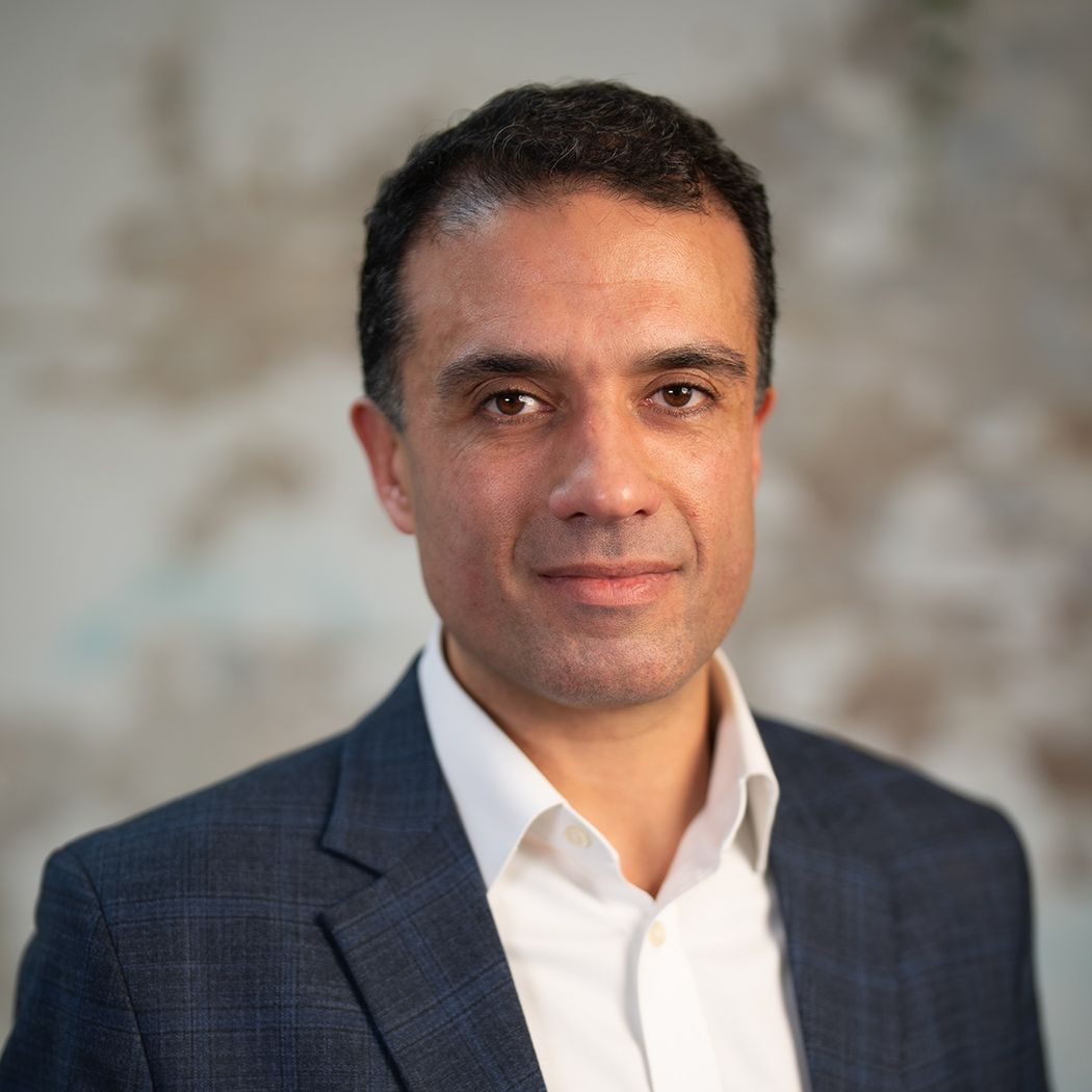 Ihyeeddine Elfeki Global Solutions Lead, Financial Services 