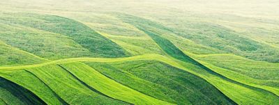 Aerial view of lush green, rolling fields; business insights for ESG decision makers | DXC Technology Insights