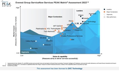 Everest GRoup PEAK Assessment Services Now 2022