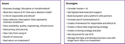 Insurance Issues and Strategies_v1