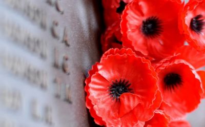 Poppy flowers, veteran support services concept, RSL DefenceCare | DXC Technology Customer stories
