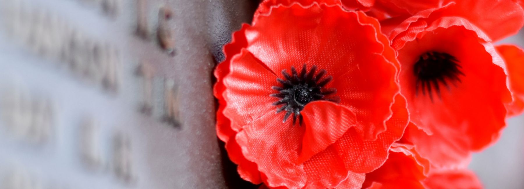 RSL DefenceCare improves veteran support services with Microsoft Dynamics 365