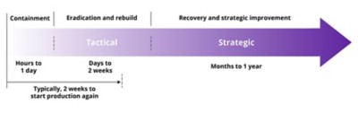 Ransomware remediation phase