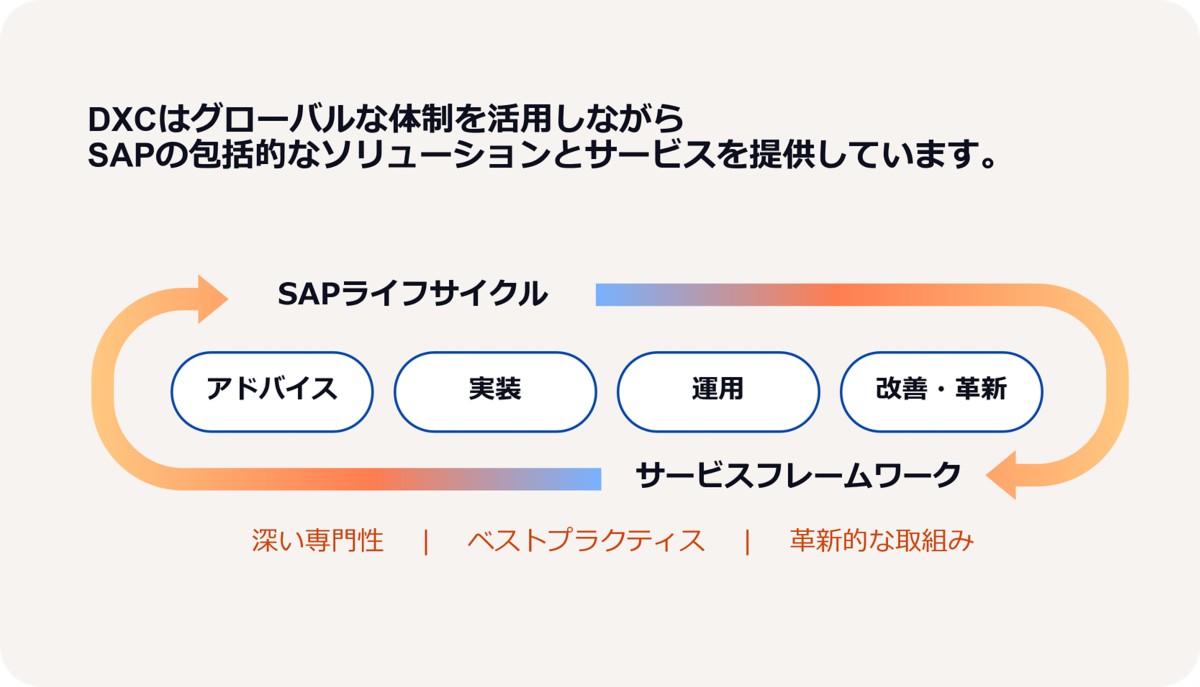 SAPライフサイクル