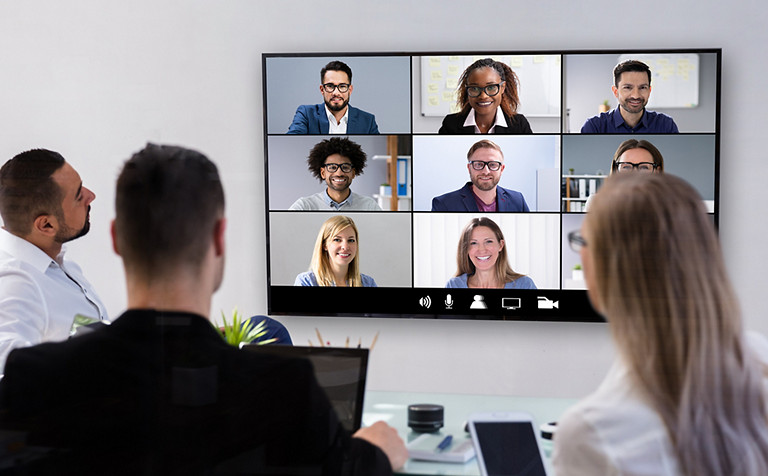 biz people in a video conference