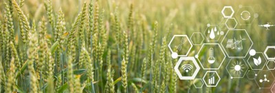 Cover for 3 ways digital technology can feed world sustainably report | DXC Technology Insights
