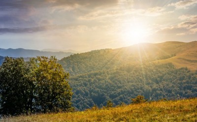 beautiful Carpathian panorama time concept  AdobeStock_167684251