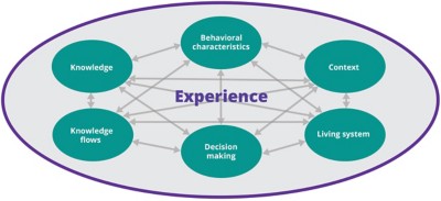 Chart of interconnected circles showing key constructs of expertise, with experience at the center