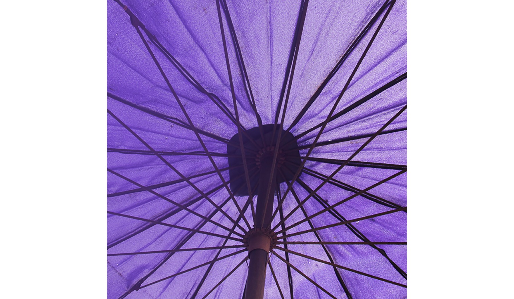 insurance-campaign-promo-image with umbrella