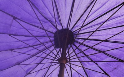 large purple umbrella showing spokes
