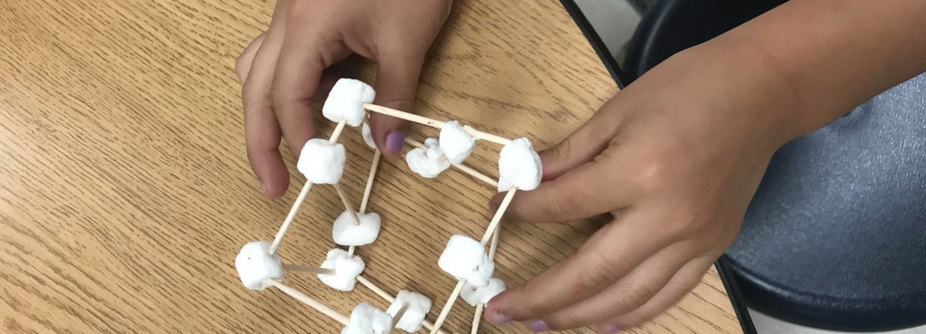 Running STEM activities for RecPAC summer campers