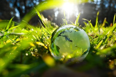Green glass globe with green leaves an d morning sunlight