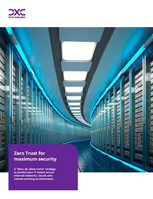 Zero Trust for maximum security PDF