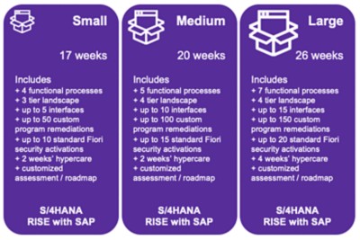 dxc-au-sap-erp-graphic